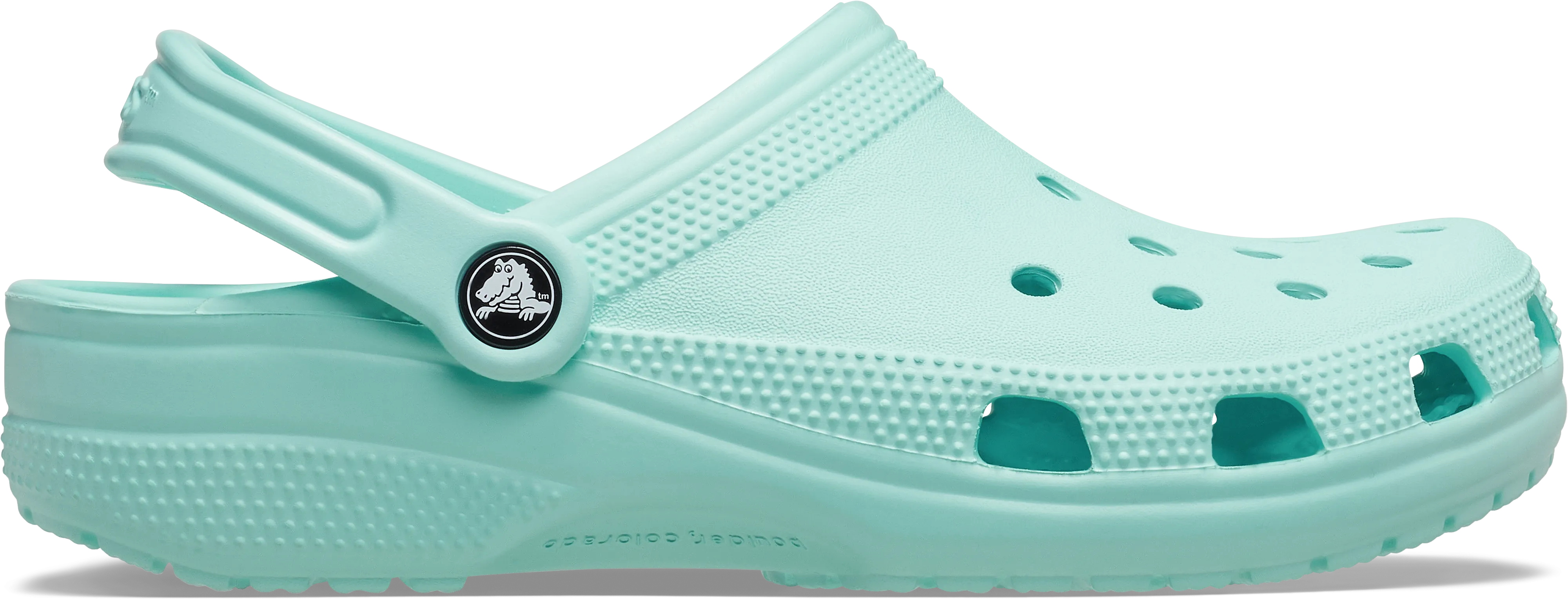 Crocs Adult Classic Clog