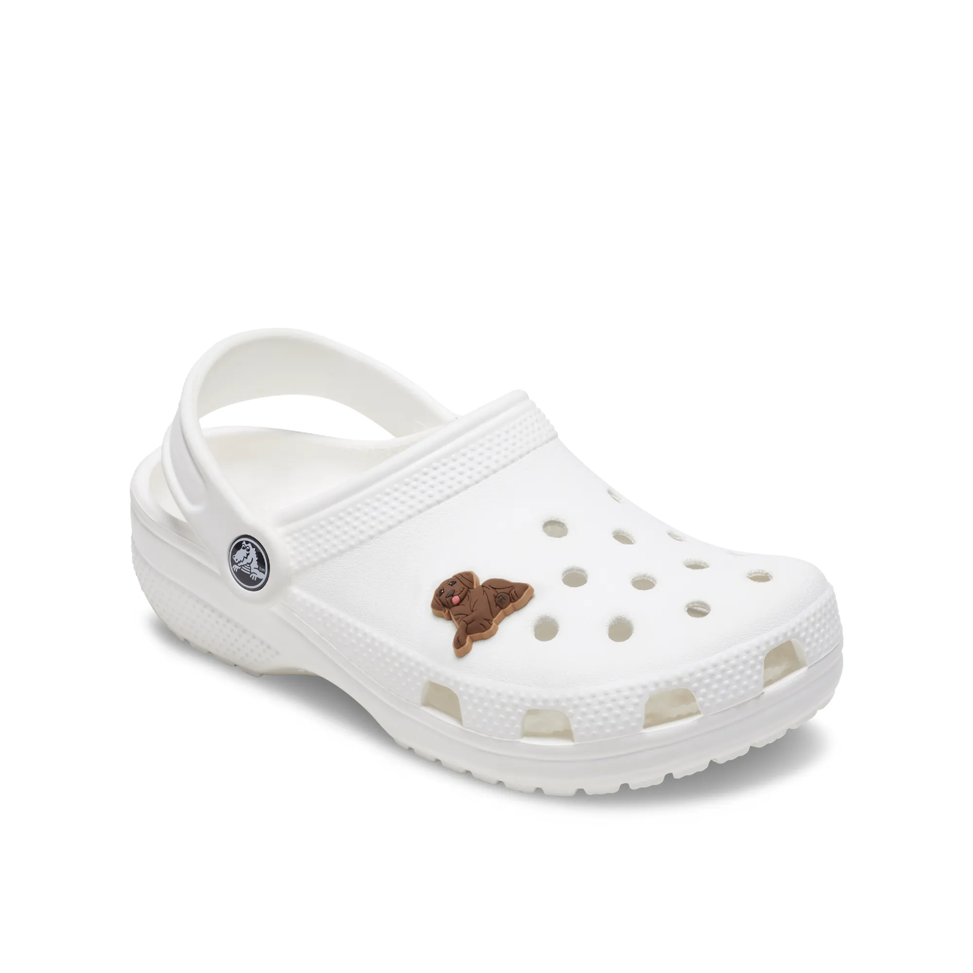 JIBBITZ™ BROWN LAB PUPPY Crocs