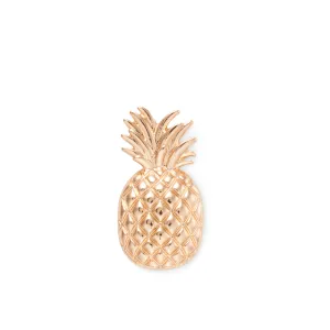 JIBBITZ™ GOLD PINEAPPLE Crocs